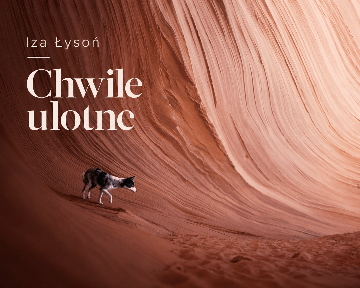 Iza Łysoń „Chwile ulotne” – wystawa fotografii