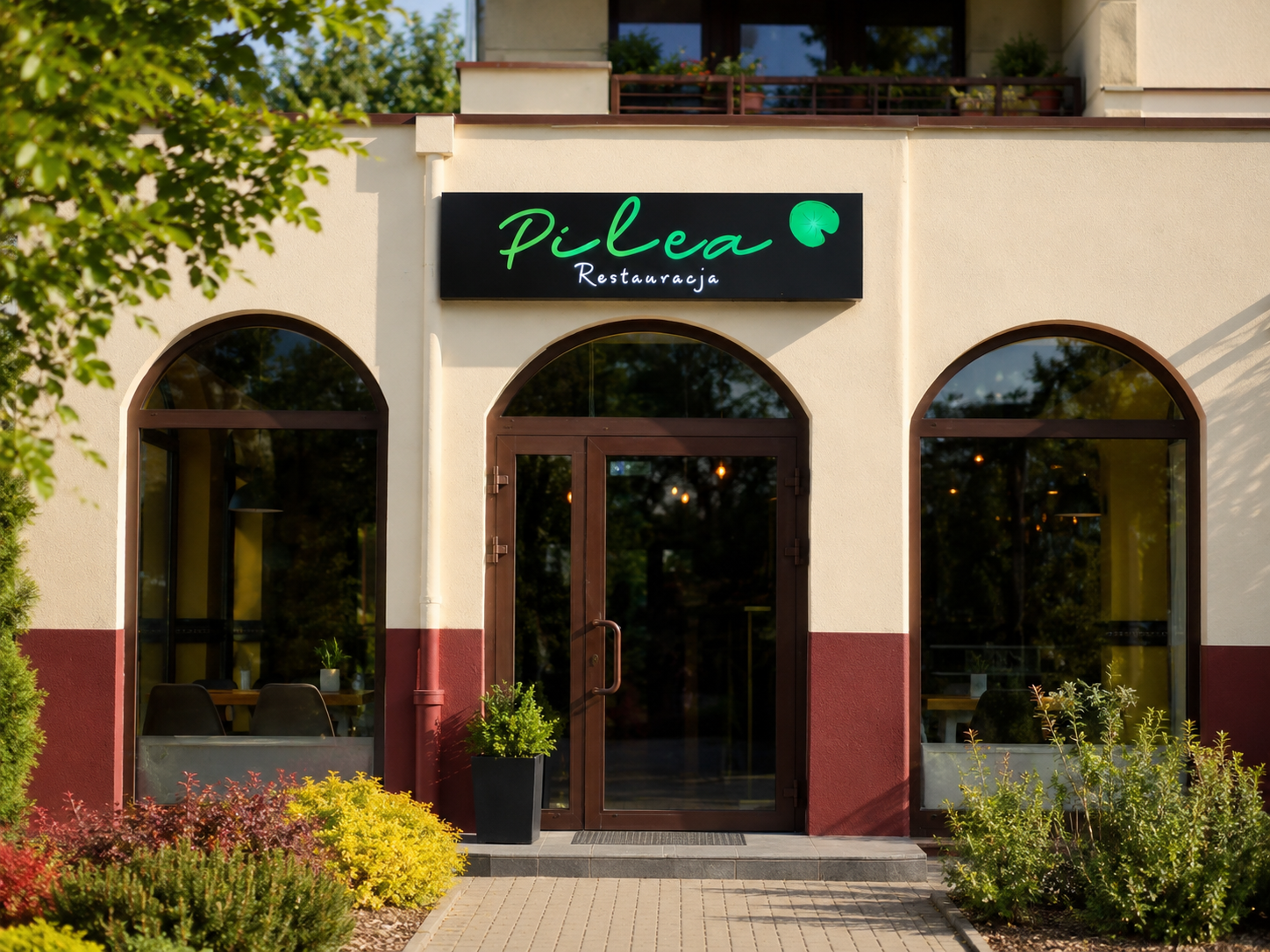 Pilea